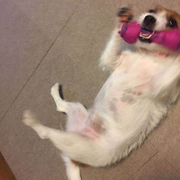 Efb2bec1 cc23 43ae 88e2 0ea286c8621d