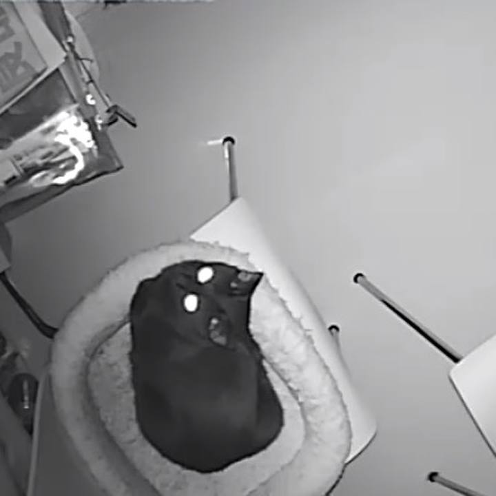 Efb2c770 1615 4e40 8ced 36b1ab6357b6