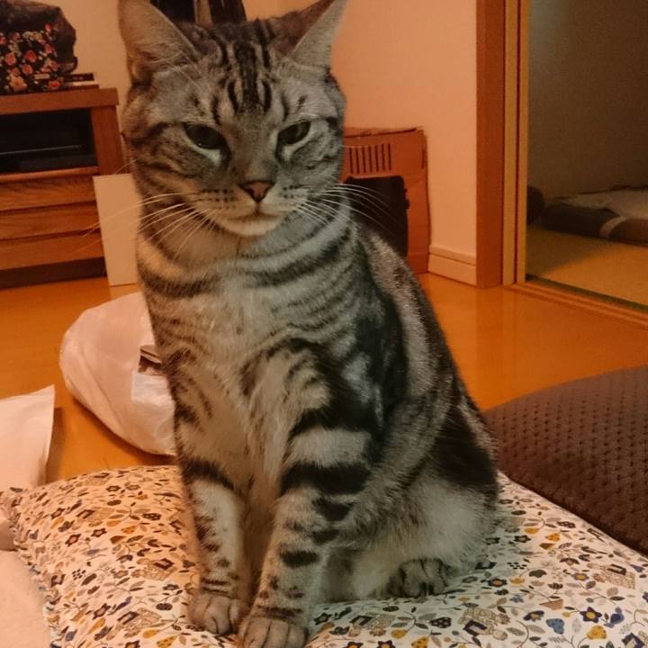 Efb2d998 37ab 4e3d 9f7a 2a8c497e03b7