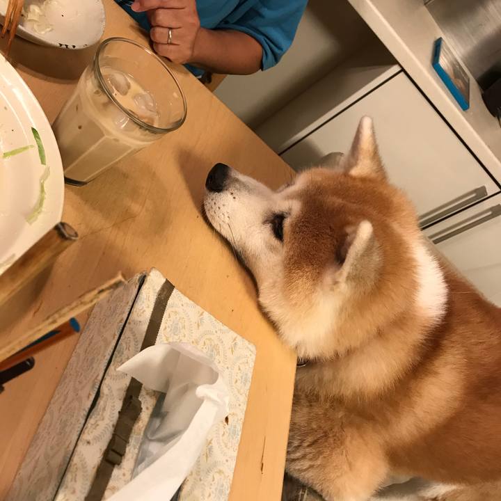 Efb2fa9c 4cbc 40b1 83fa 5c5e16b0f139