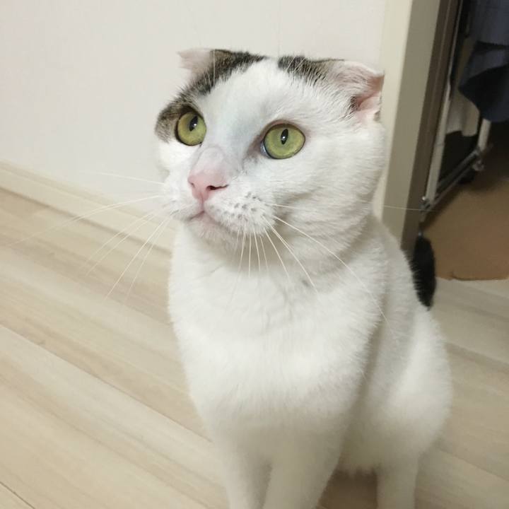 Efb309d3 2aa1 4a13 92a7 c57db340ad8f