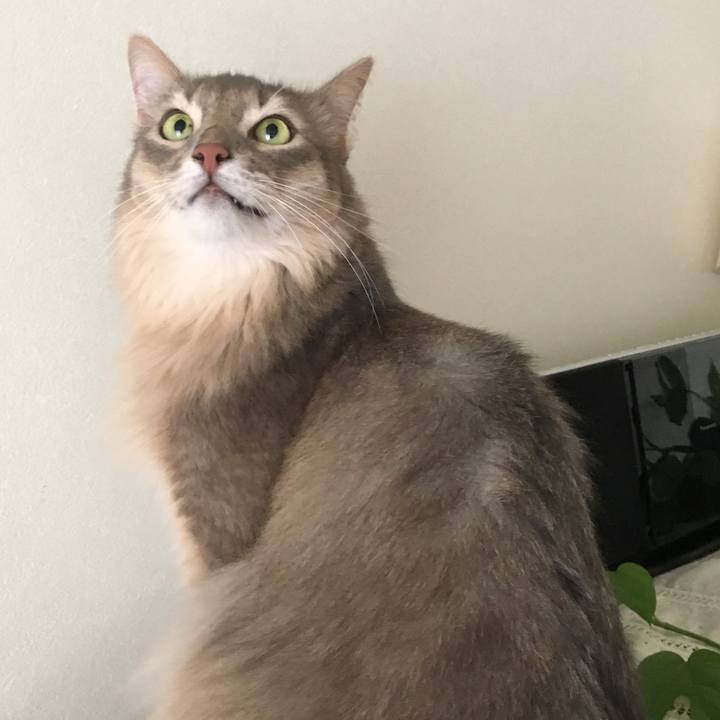 Efb3cd0c 30fb 480b b26d fdbd12265fe1