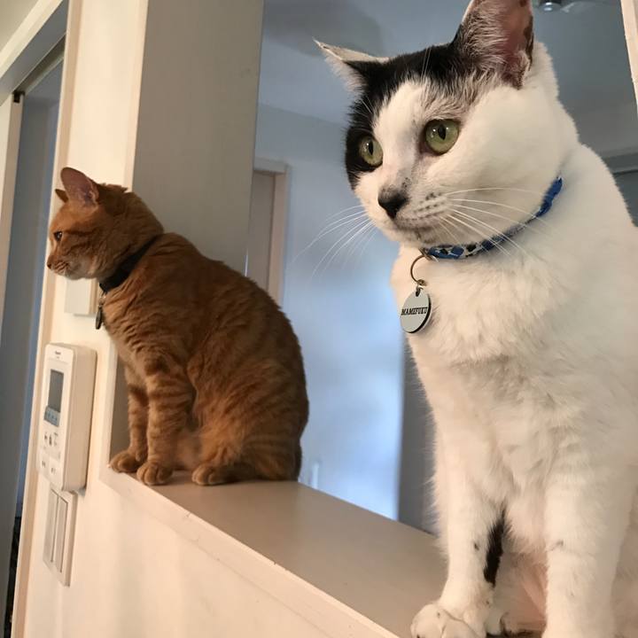 Efb434f9 f52f 449d ace3 4eaa7d670b8a