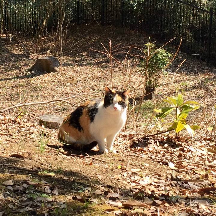 Efb44e98 4efc 400d ad76 2f3f1673910c