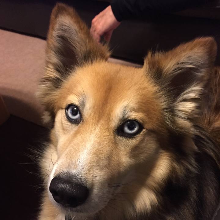 Efb48d4c 1ca9 40b3 ae84 8b78c6502823