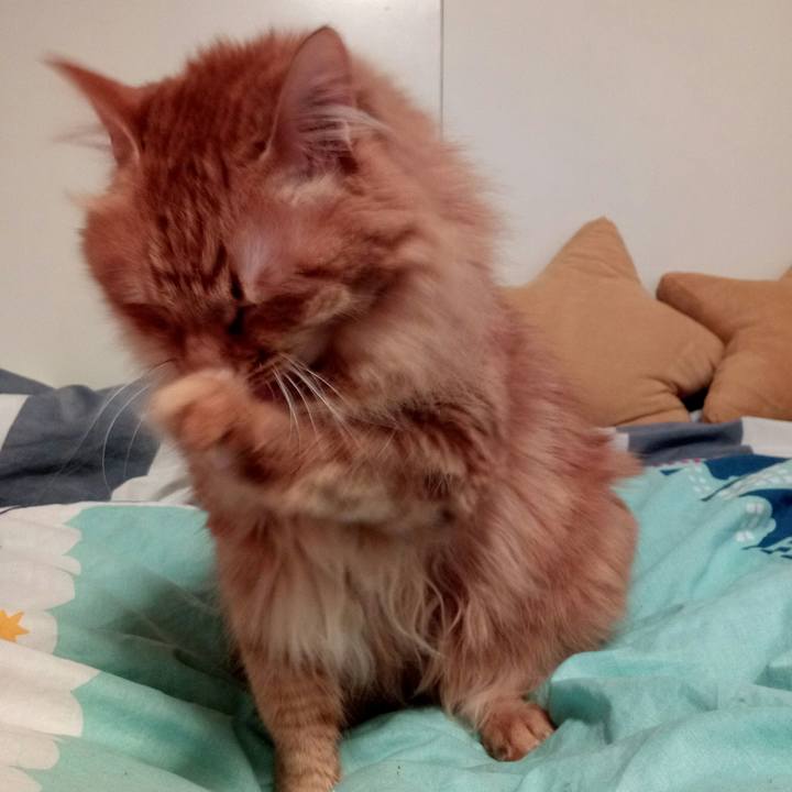 Efb4d9b6 1503 4298 9546 25cb4a56656a