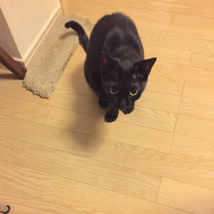 Efb59ee3 d221 4522 8564 8188deab15a9