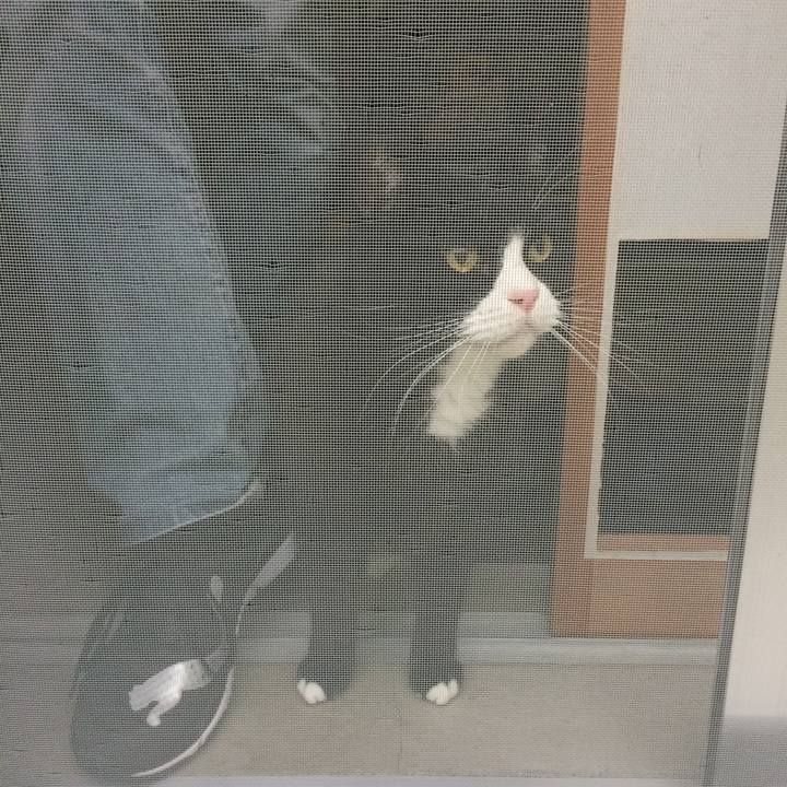 Efb5d4f8 ff2f 46ac 8dc4 597a95ba512f