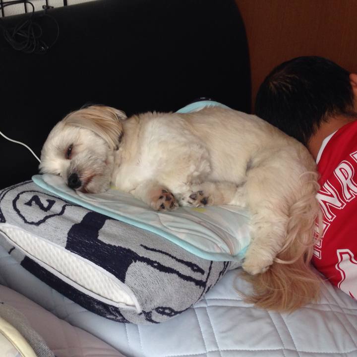 Efb63847 1149 4f77 bf89 bc9c170248af