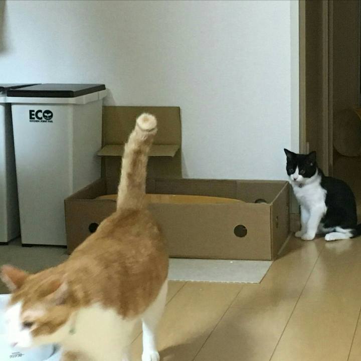 Efb695f1 6977 442b bdc7 9af84fa11899