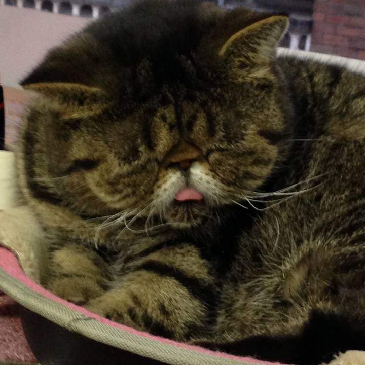 Efb6f5c6 803e 4d54 9118 a4ede9005bee