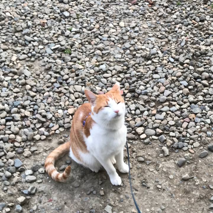 Efb82933 b63b 4cb0 9953 85165c8610b2