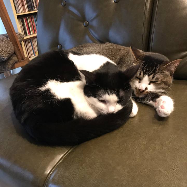 Efb8b604 44d5 4103 ac23 55547e9fe1f6