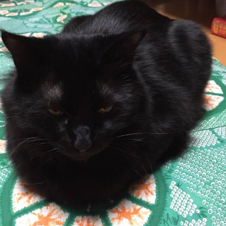 Efb8ed19 ba3d 4065 bb2f 5f54a0985a78