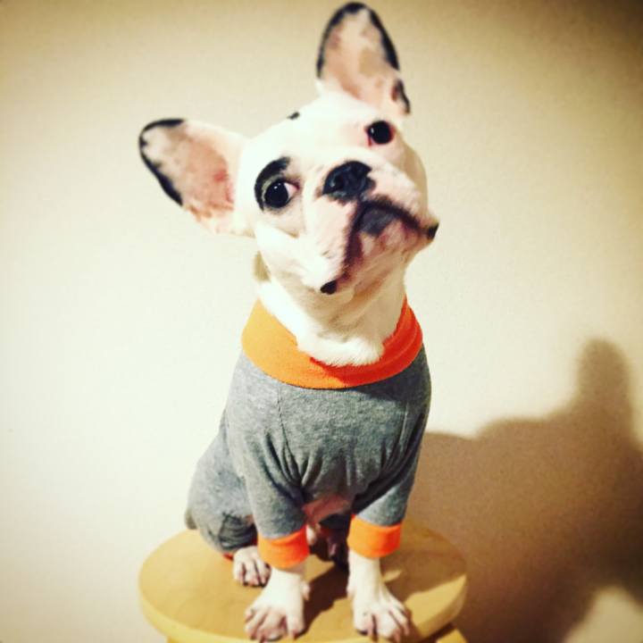 Efba2584 0f9f 4138 a604 4816d317fd9c