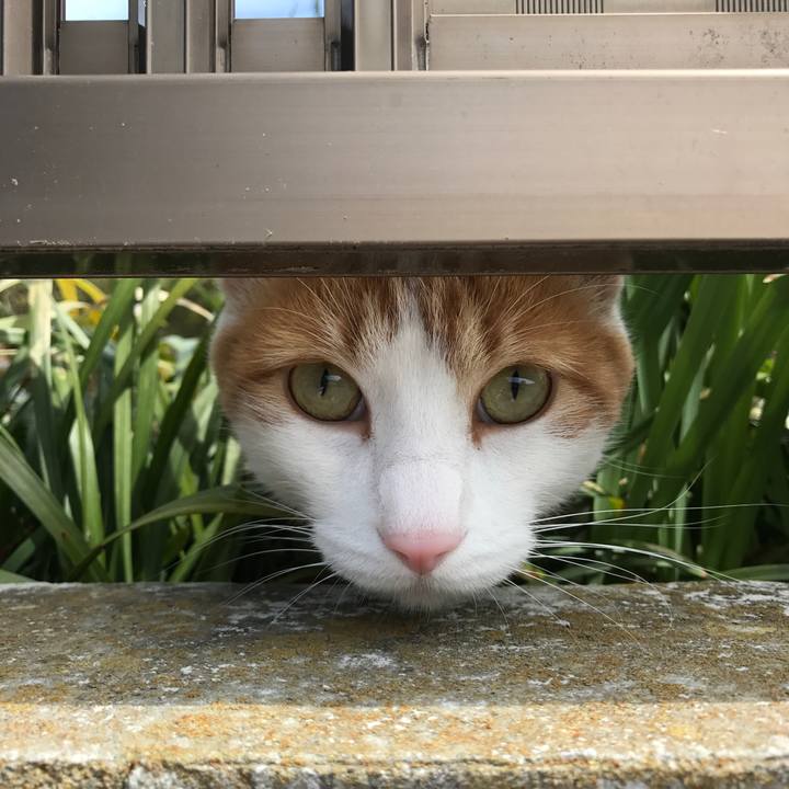 Efba58dc 8e4f 4f7e bb87 85a1268b9ac1