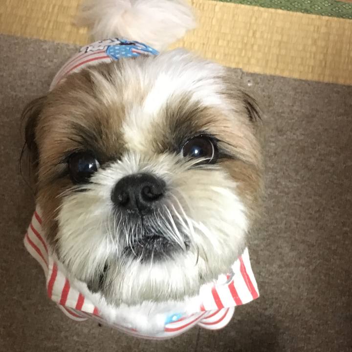 Efba8fff 4f39 4684 8747 47ac027101a3