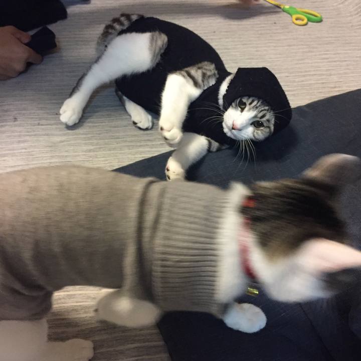 Efbaf424 d3e6 4853 8384 884bc436d884