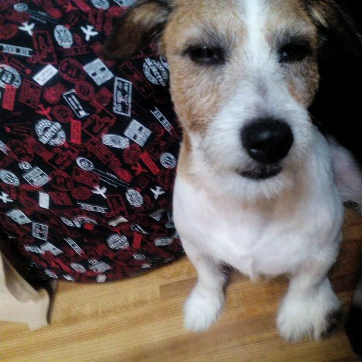 Efbb9786 abf3 4f22 8370 ebd3f9193554