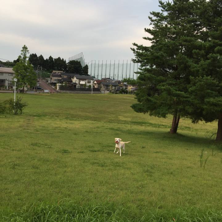 Efbc5bcf e5f5 40d7 8cdd 22150b8b3d17