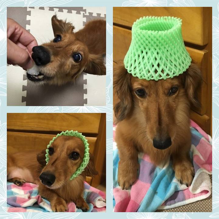 Efbc7e8a 8ca3 4022 a154 def13276e2b2