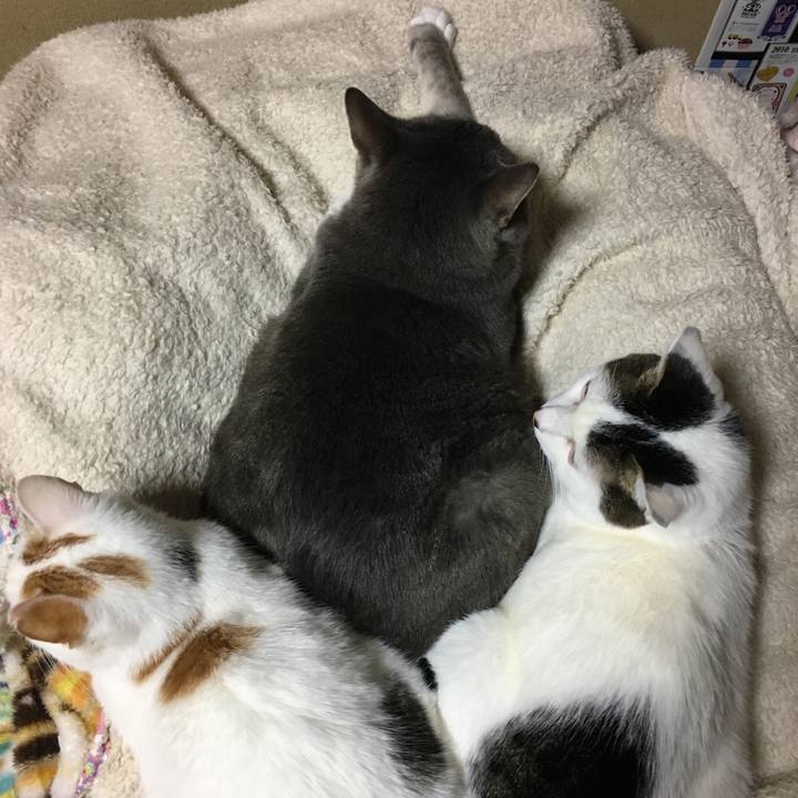 Efbf9775 4736 4acc a455 bcfb6d338887