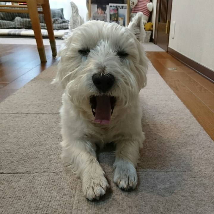 Efbf99aa 30b1 4c59 948f ac4f59ec26a6