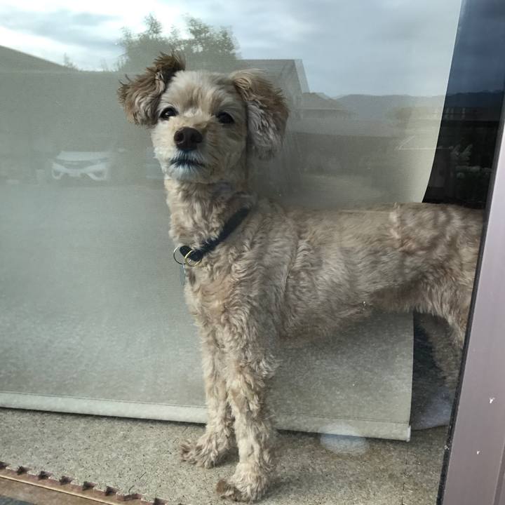 Efbfca5f 04df 4068 b639 ad3a63e71bbe