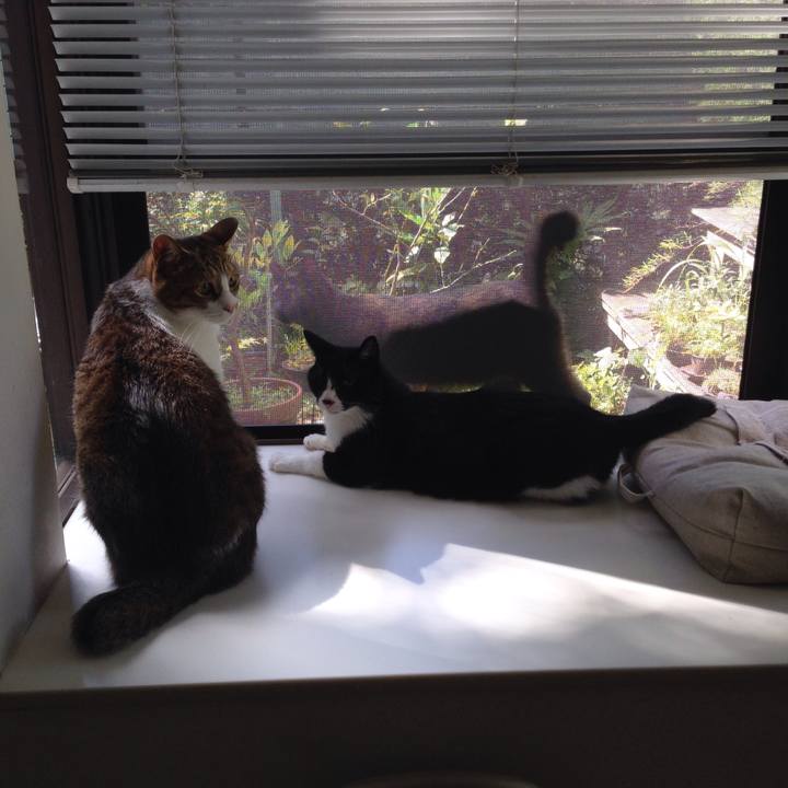 Efc00ae6 1259 43f1 9dd9 c28297c7faeb