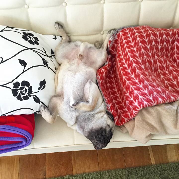 Efc098f9 d672 419b a809 81237483129c