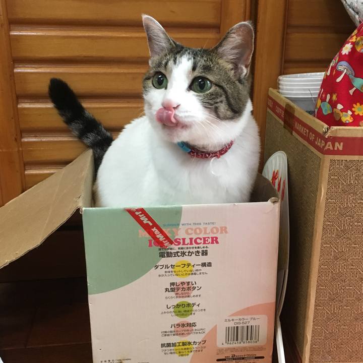 Efc0c3c4 cf8e 4e40 b3a3 2b3cab25e9f9