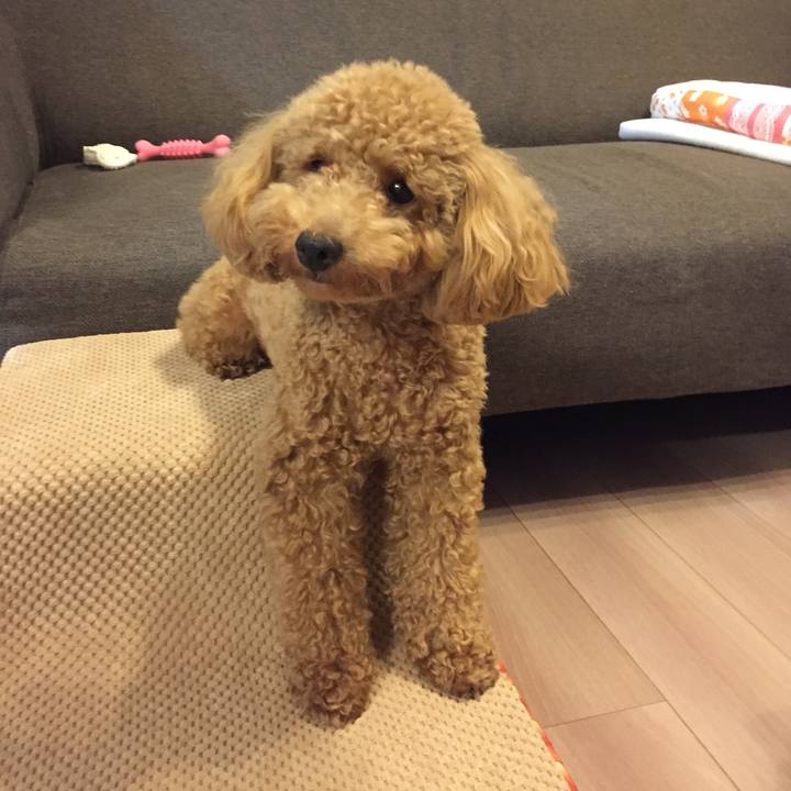 Efc10306 3a4e 42e0 b282 b23771d33867