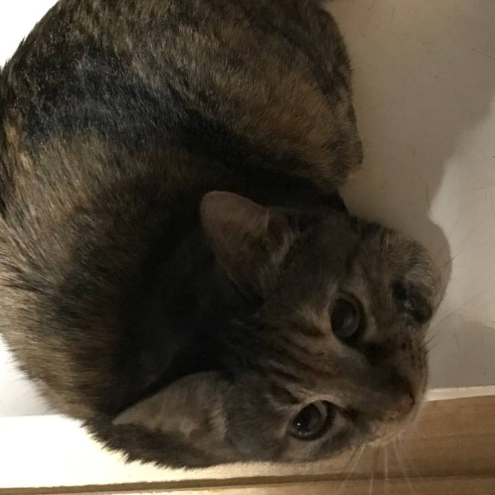 Efc17ee3 c9c1 4f19 8b77 b9778a0a5de0