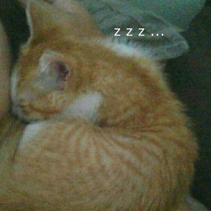 Efc1c265 404d 4a93 afa6 290026be9594