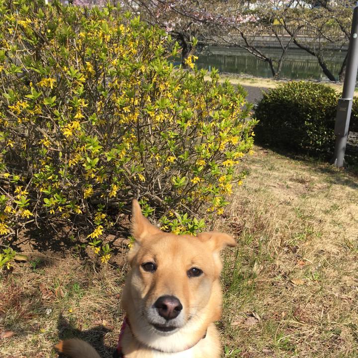 Efc1e046 28dd 4d32 b4d0 d2e4c3291eb4