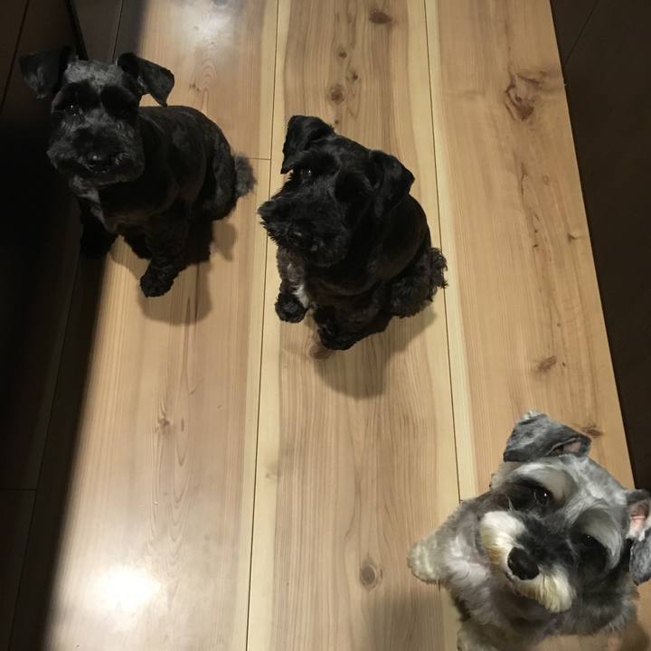 Efc1ffee de48 4a4b ac51 515aa6a1755f