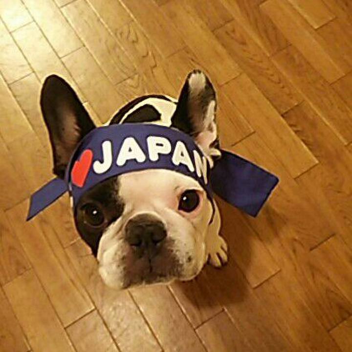 Efc2079e ddc9 4bab a455 710bda9a0c9c