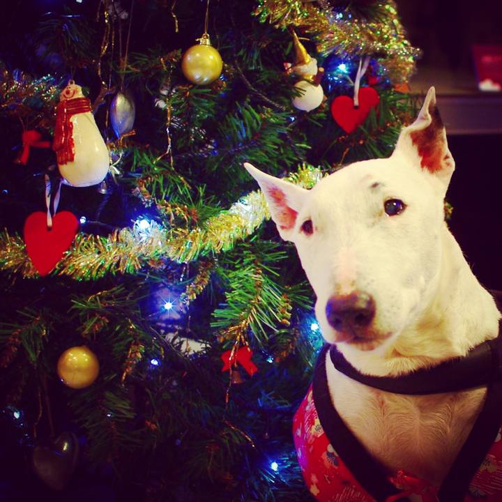 Efc26018 c1c4 4055 96ee a25d763d74c3