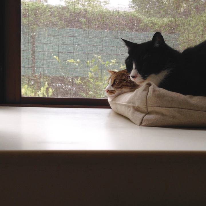 Efc2679e 4590 4072 99e3 f1a3c65b203d