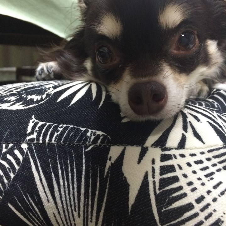 Efc2f106 e267 467c a9b6 23ea9cfddcad