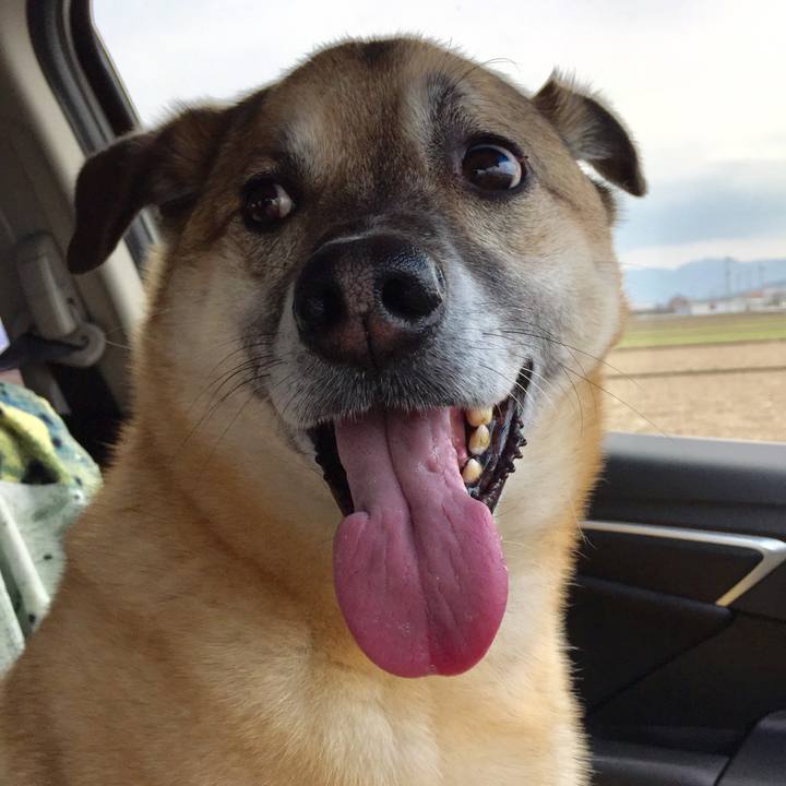 Efc3fe8b 0fbe 4631 bb5a 06fa9cd8954a