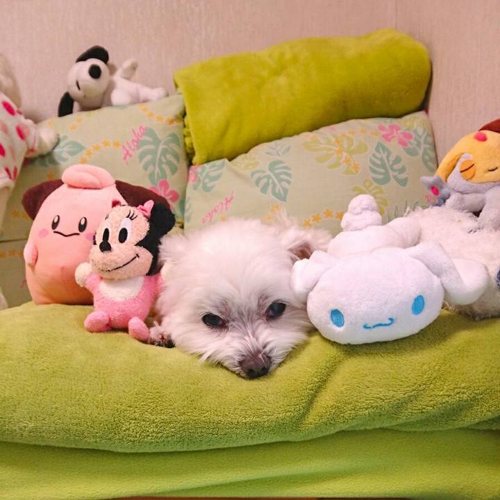 Efc4dab6 40fc 4284 90c4 75e279bac770