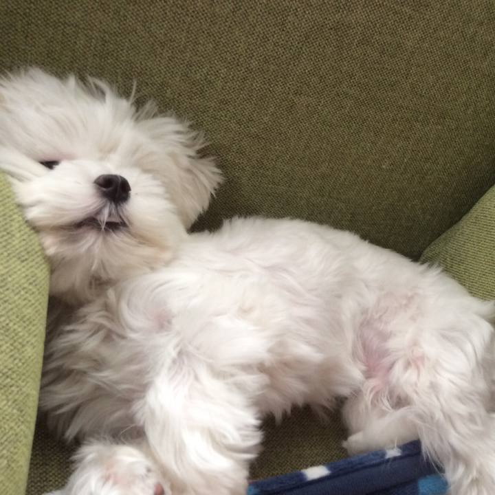 Efc69680 528c 4635 acf6 d041698794e8