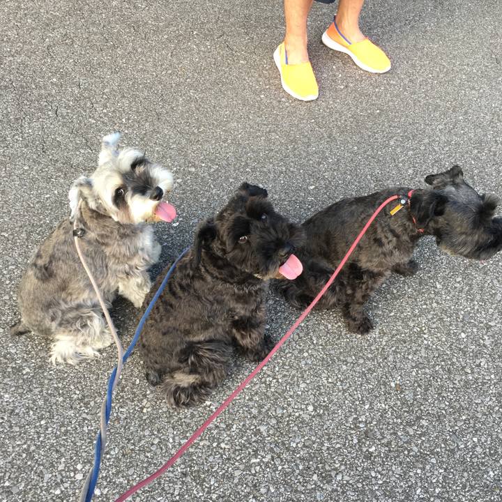 Efc762f8 c3f4 47cd b55d d7b9afc6387e