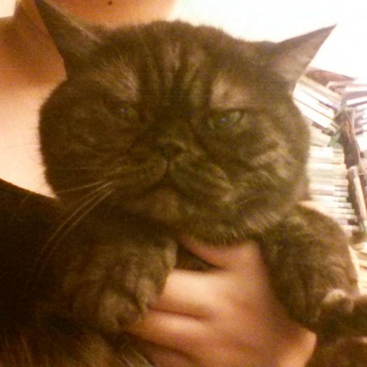 Efc802e6 fa2f 4fe9 adfc 82f8f0c77844