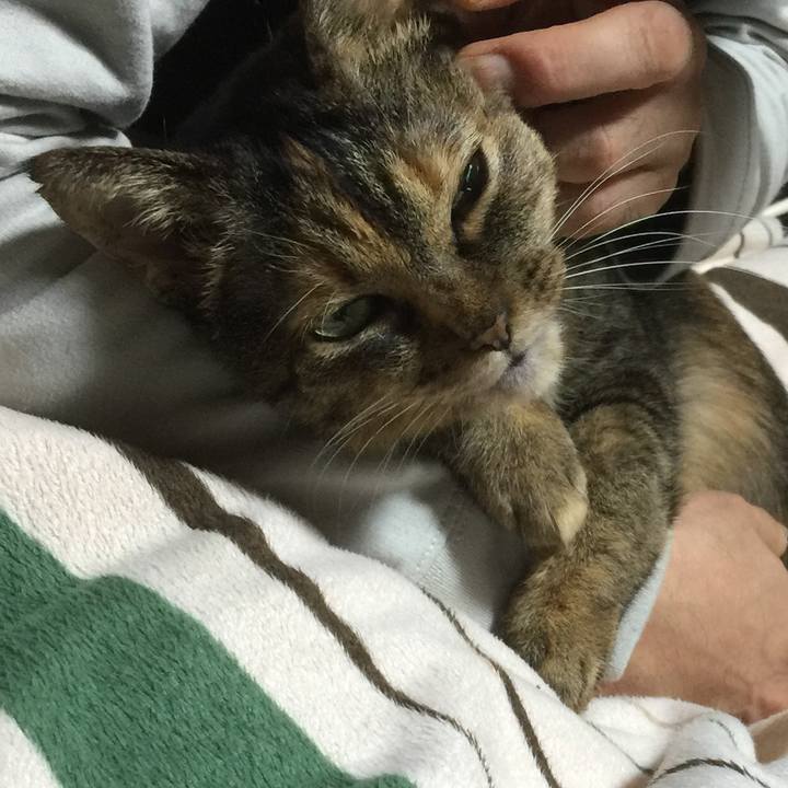 Efc8388e 3616 423d ba82 4acff74ac2eb