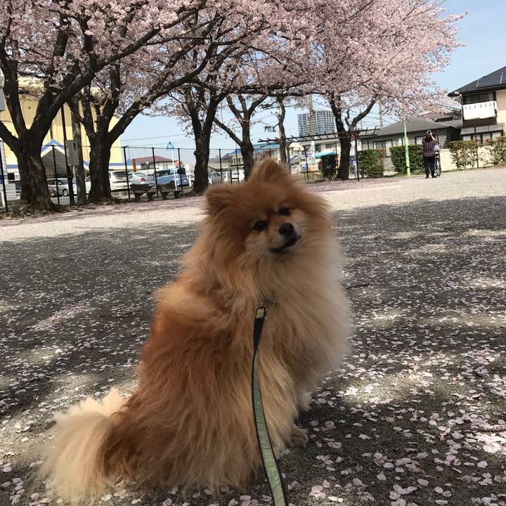 Efc8429e fa71 42e3 9aa6 ae5491fa4fd6