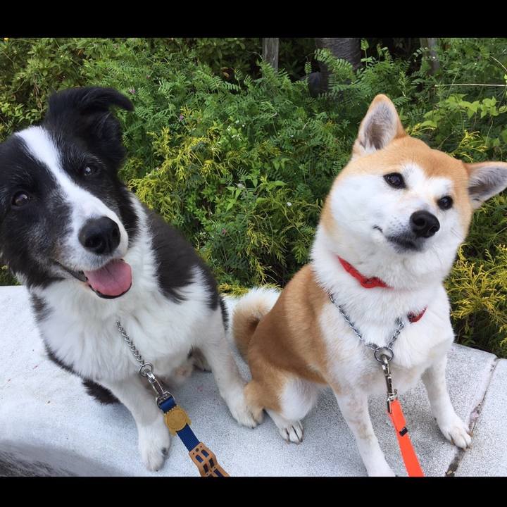 Efc9d7d7 931f 4eaf 89c8 b238a05372d0