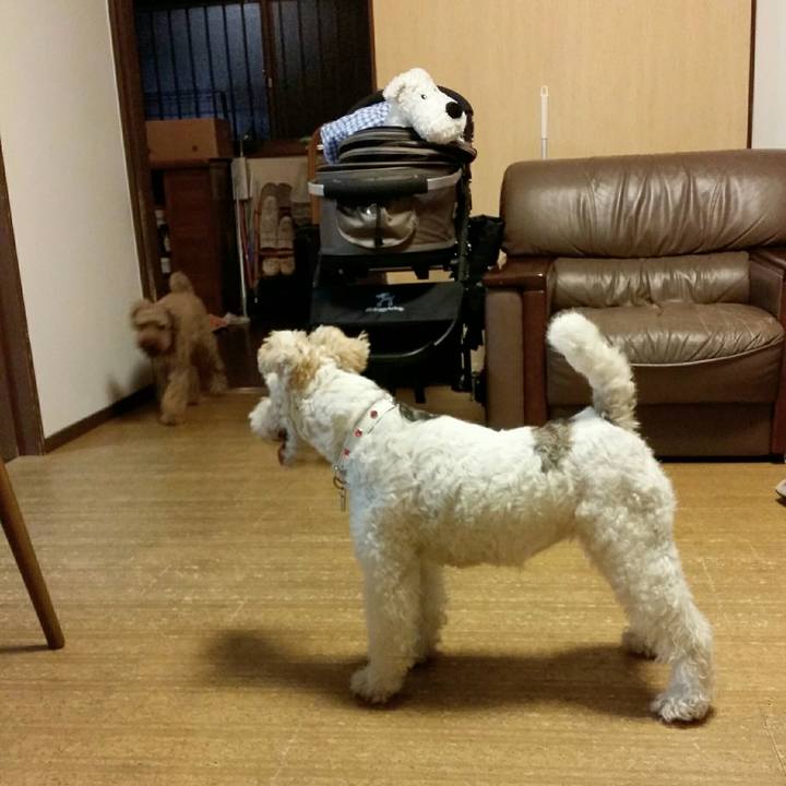 Efcaae50 2071 43e7 a43a 46d9c1926bb5