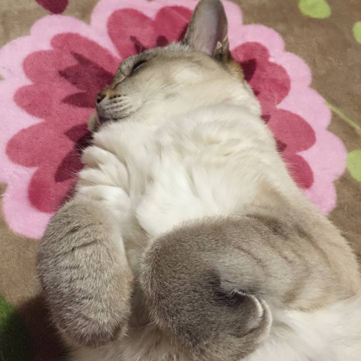 Efcad002 5d94 439c 95a0 1bb8d5138b39